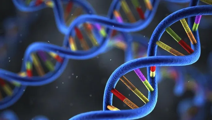 遗传咨询师与来访者进行面对面沟通