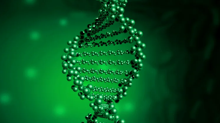 实验室技术人员进行血液样本处理