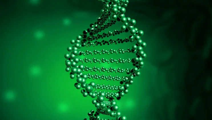 实验室技术人员进行血液样本处理