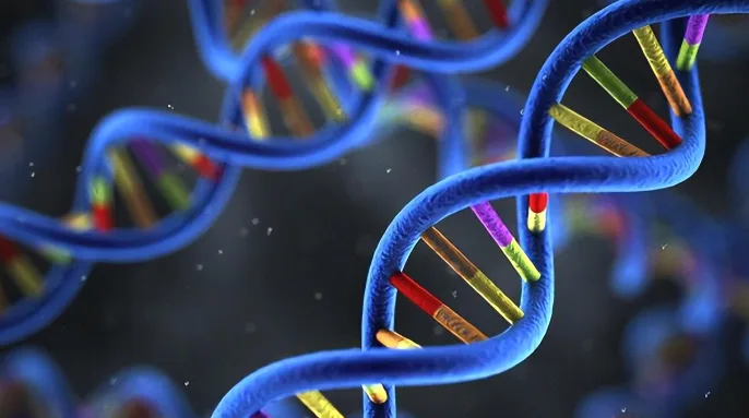 遗传咨询师与来访者进行面对面沟通