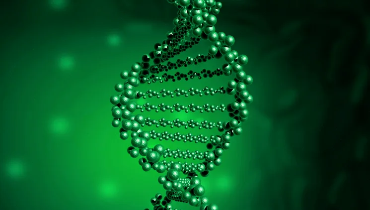 展示包含三代信息的肿瘤家族史系谱图