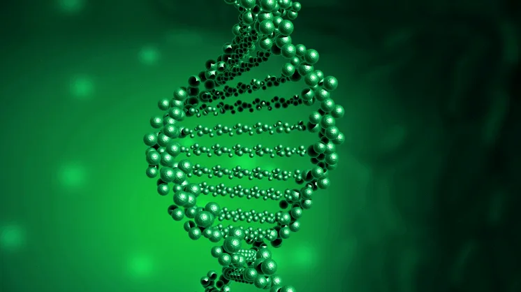 检验科医师在生物安全柜内处理血液样本