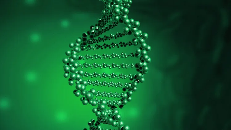 没感觉不舒服，也要做筛查吗？一位产前诊断科医生的真心话