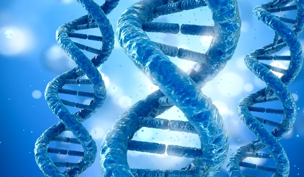 健康防癌筛查:一份给身体未来的理性投资