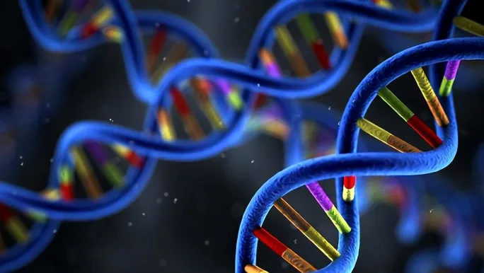 护士正在为受检者采集静脉血样本