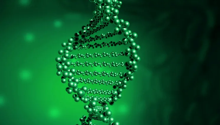 医生与咨询者进行风险评估沟通