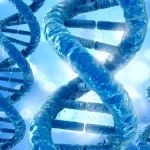 医生向夫妇解释耳聋基因检测报告