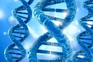 医生向夫妇解释耳聋基因检测报告