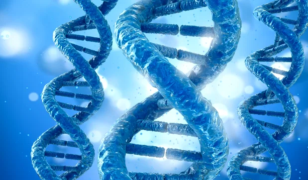 医生向夫妇解释耳聋基因检测报告