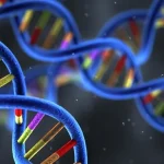 DNA双螺旋与肠癌示意图