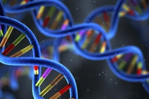 DNA双螺旋与肠癌示意图