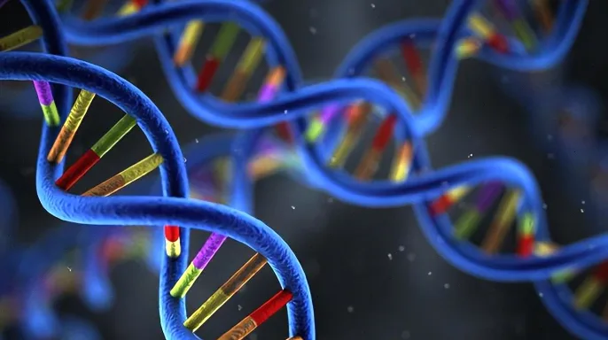 DNA双螺旋与肠癌示意图