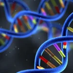 基因检测采样过程示意图