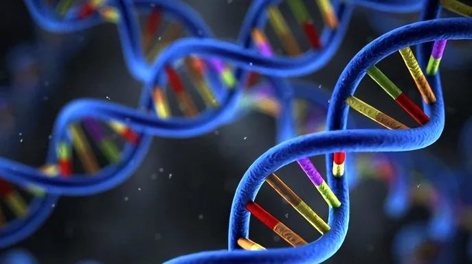 基因检测采样过程示意图