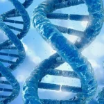 眼球解剖结构示意图标注玻璃体、视网膜、脉络膜