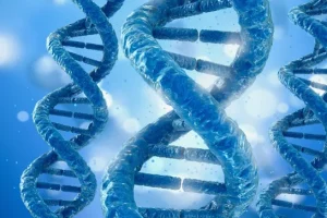 眼球解剖结构示意图标注玻璃体、视网膜、脉络膜