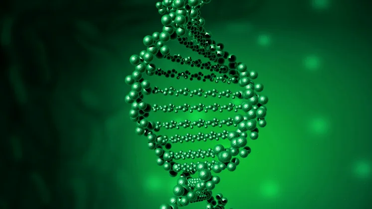 正常与异常眼球运动模式对比