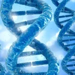 多囊肾病肾脏示意图