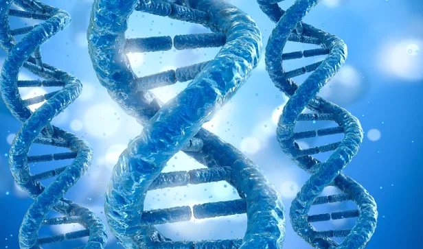 多囊肾病肾脏示意图