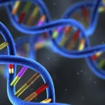 大疱性表皮松解症患者皮肤表现