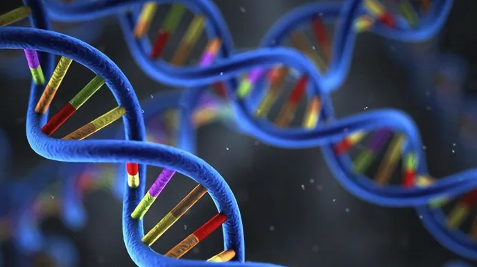 大疱性表皮松解症患者皮肤表现