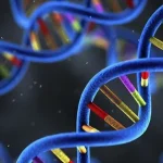 瓦登伯革氏综合征患儿虹膜异色特写