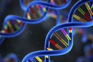 瓦登伯革氏综合征患儿虹膜异色特写