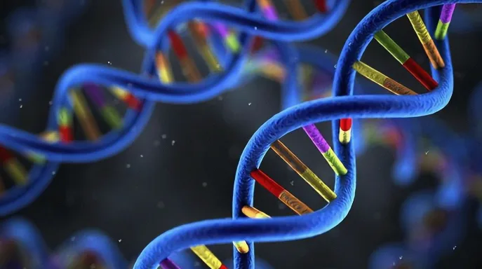 瓦登伯革氏综合征患儿虹膜异色特写