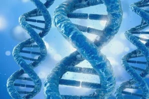 外胚层发育不良患儿特征性面容