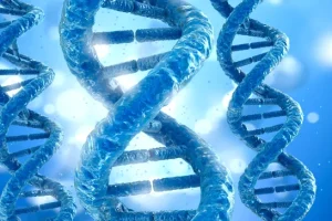 歌舞伎面谱综合征典型面部特征示意图