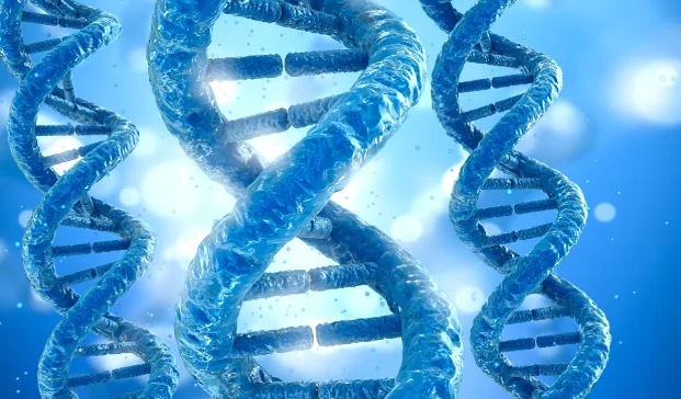 歌舞伎面谱综合征典型面部特征示意图