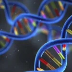 科凯恩综合征患儿典型鸟样面容特写