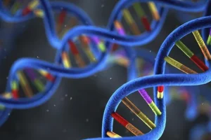 科凯恩综合征患儿典型鸟样面容特写