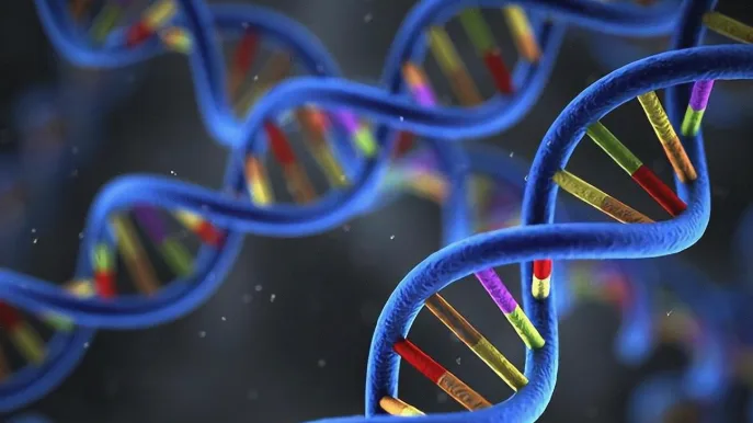 科凯恩综合征患儿典型鸟样面容特写