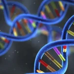 德朗热综合征患儿特征性面容示意图