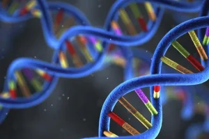 德朗热综合征患儿特征性面容示意图