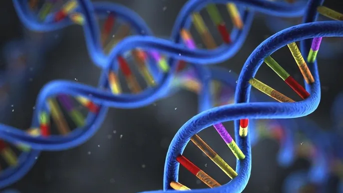 德朗热综合征患儿特征性面容示意图