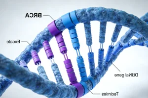 病理医生在显微镜下评估穿刺组织切片