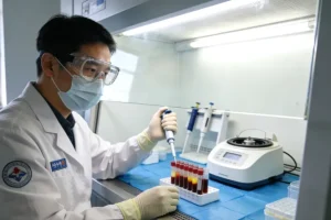 MET信号通路与靶向药物作用机制示意图