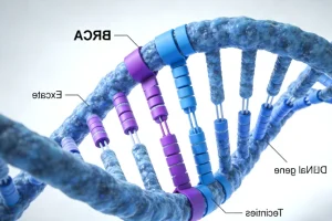 BRAF V600E突变信号通路示意图