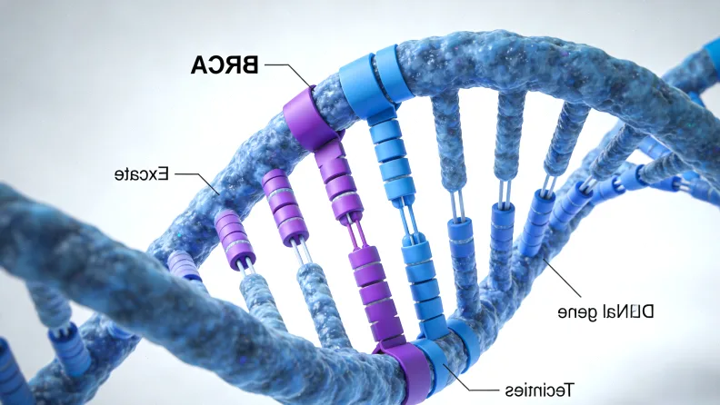 BRAF V600E突变信号通路示意图