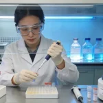 健康肾脏与多囊肾病肾脏结构对比示意图