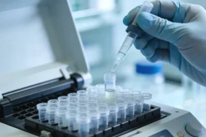 肾小球基底膜电镜下的分层改变示意图