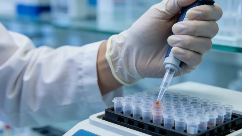 电镜下Alport综合征肾小球基底膜分层图像