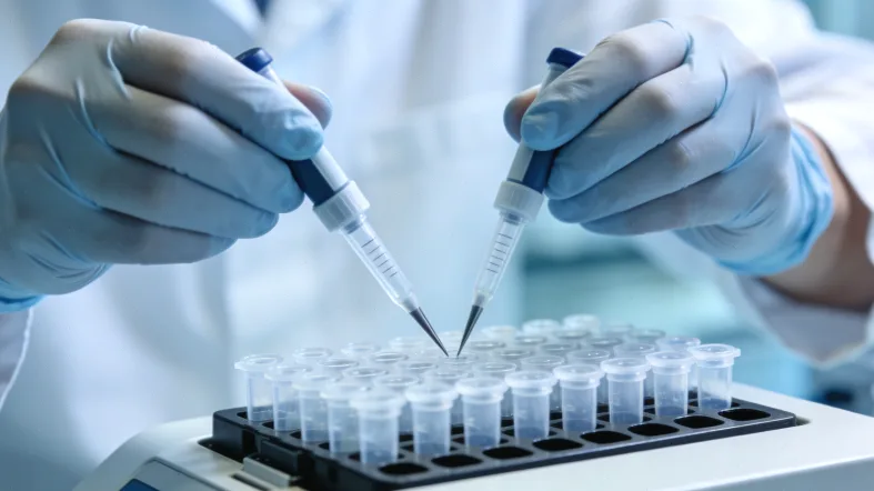 电镜下肾小球基底膜“篮网状”分层病理图