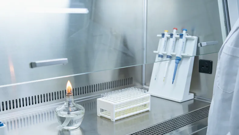 男性与女性Alport综合征患者肾功能下降曲线对比图