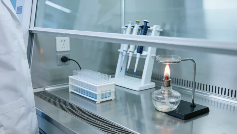 基因检测报告单与显微镜下的肾脏组织切片