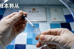 肾小球足细胞结构示意图，显示nephrin蛋白连接