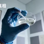 肾消耗病肾脏病理切片示意图