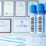 肾脏结构与肾小管示意图